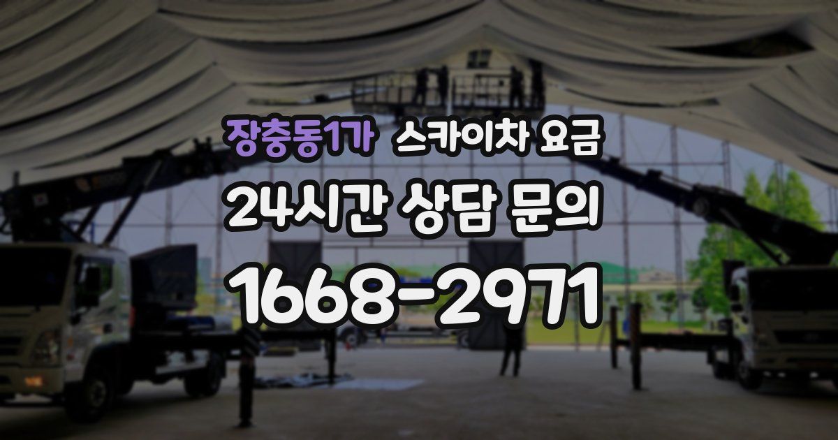 장충동1가 스카이차 요금