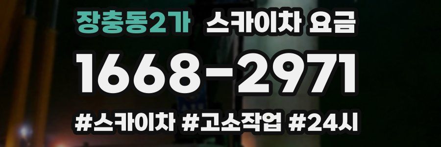 장충동2가 스카이차 요금