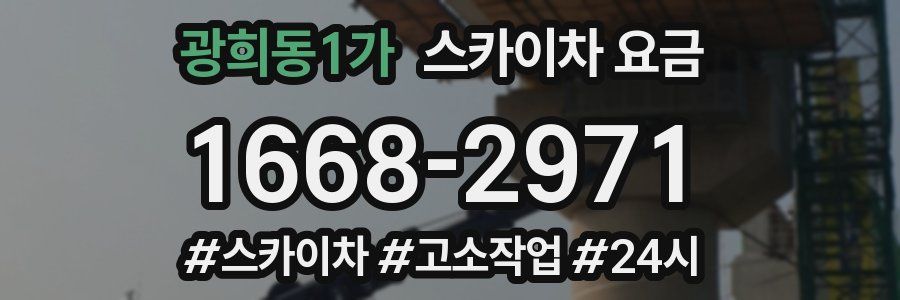 광희동1가 스카이차 요금