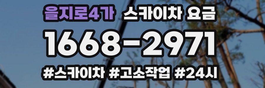을지로4가 스카이차 요금