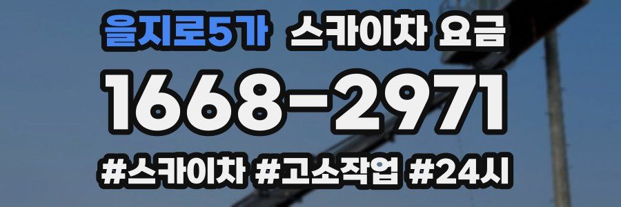 을지로5가 스카이차 요금