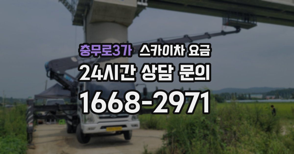 충무로3가 스카이차 요금
