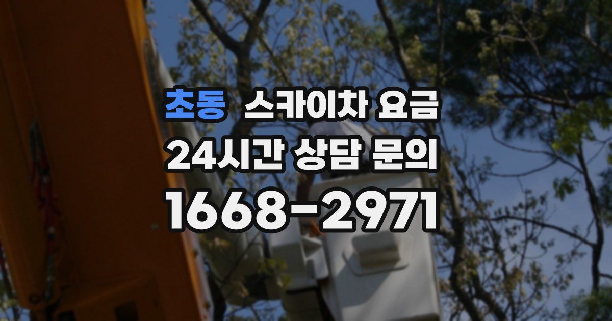 초동 스카이차 요금