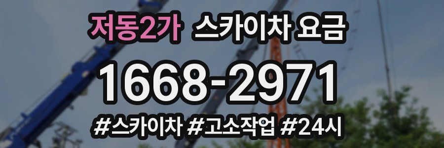저동2가 스카이차 요금