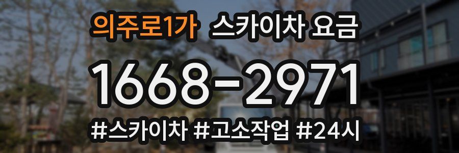 의주로1가 스카이차 요금