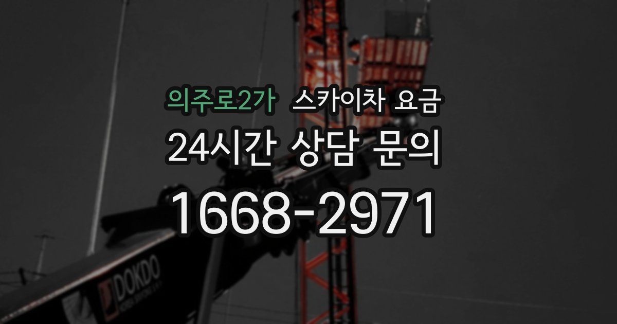 의주로2가 스카이차 요금