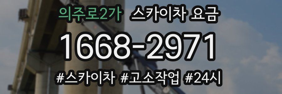 의주로2가 스카이차 요금