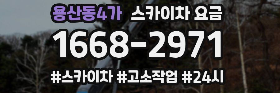용산동4가 스카이차 요금
