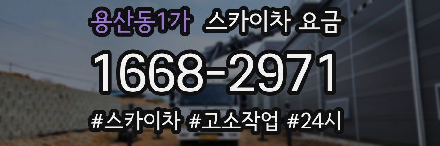 용산동1가 스카이차 요금