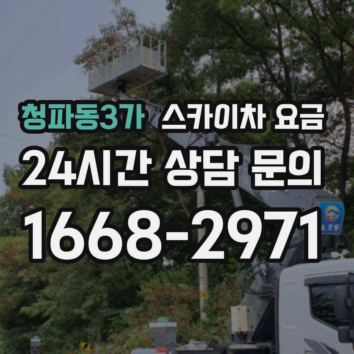 청파동3가 스카이차 요금
