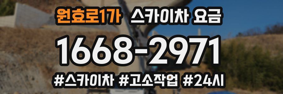 원효로1가 스카이차 요금