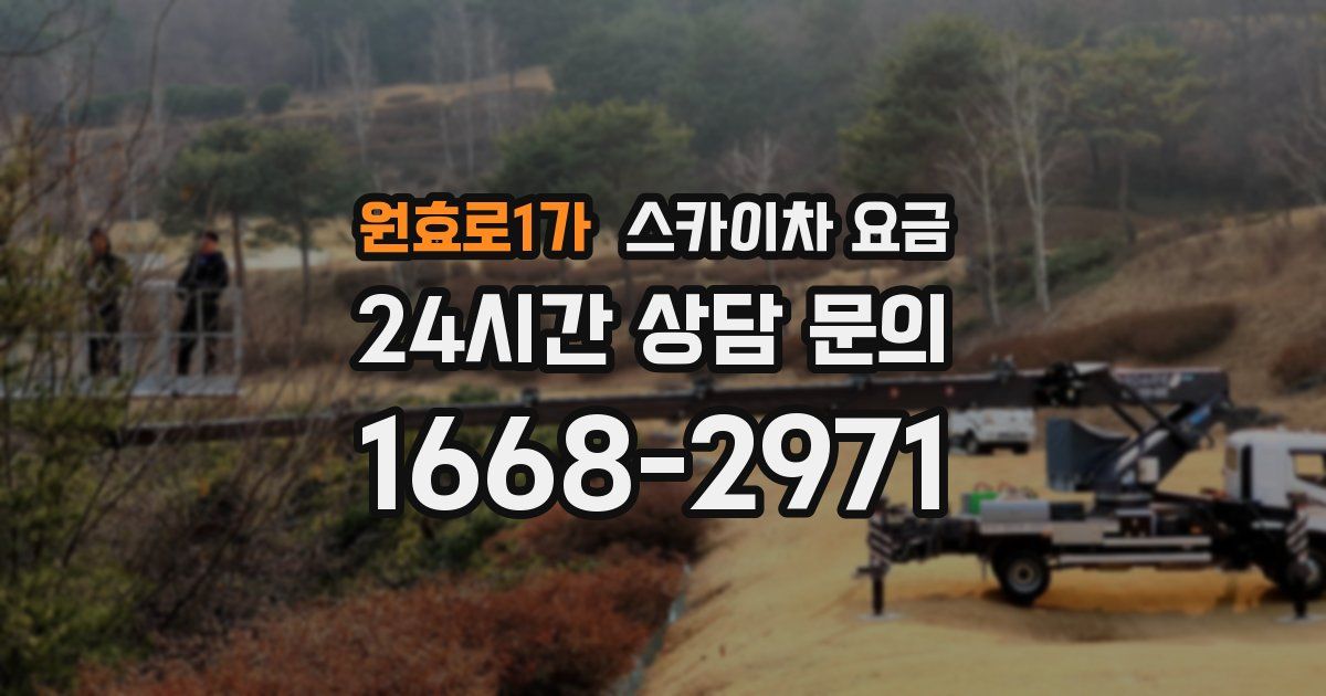 원효로1가 스카이차 요금