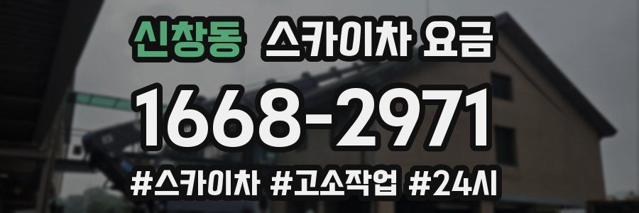 신창동 스카이차 요금