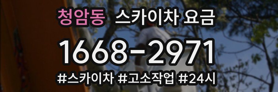 청암동 스카이차 요금