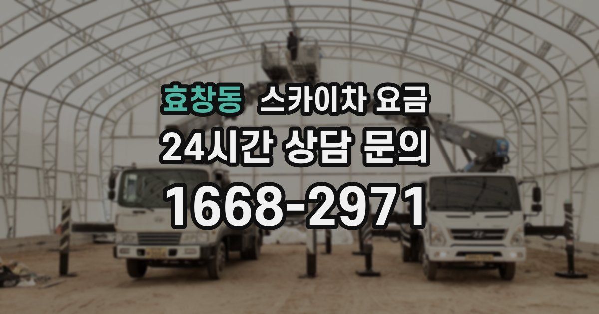 효창동 스카이차 요금