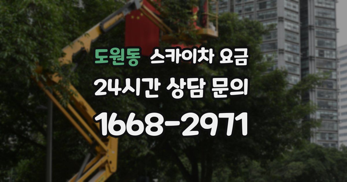 도원동 스카이차 요금
