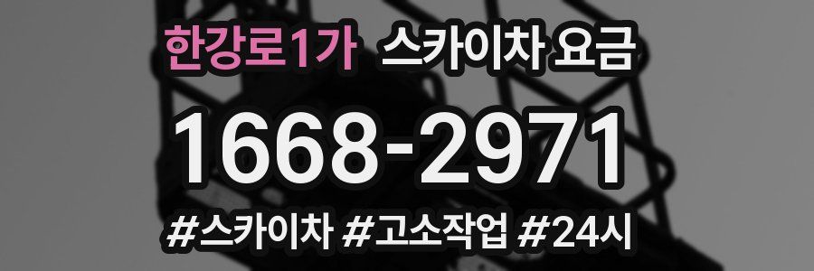 한강로1가 스카이차 요금