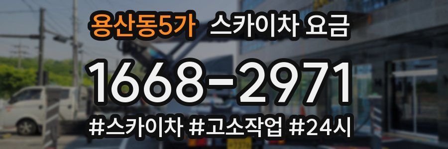 용산동5가 스카이차 요금