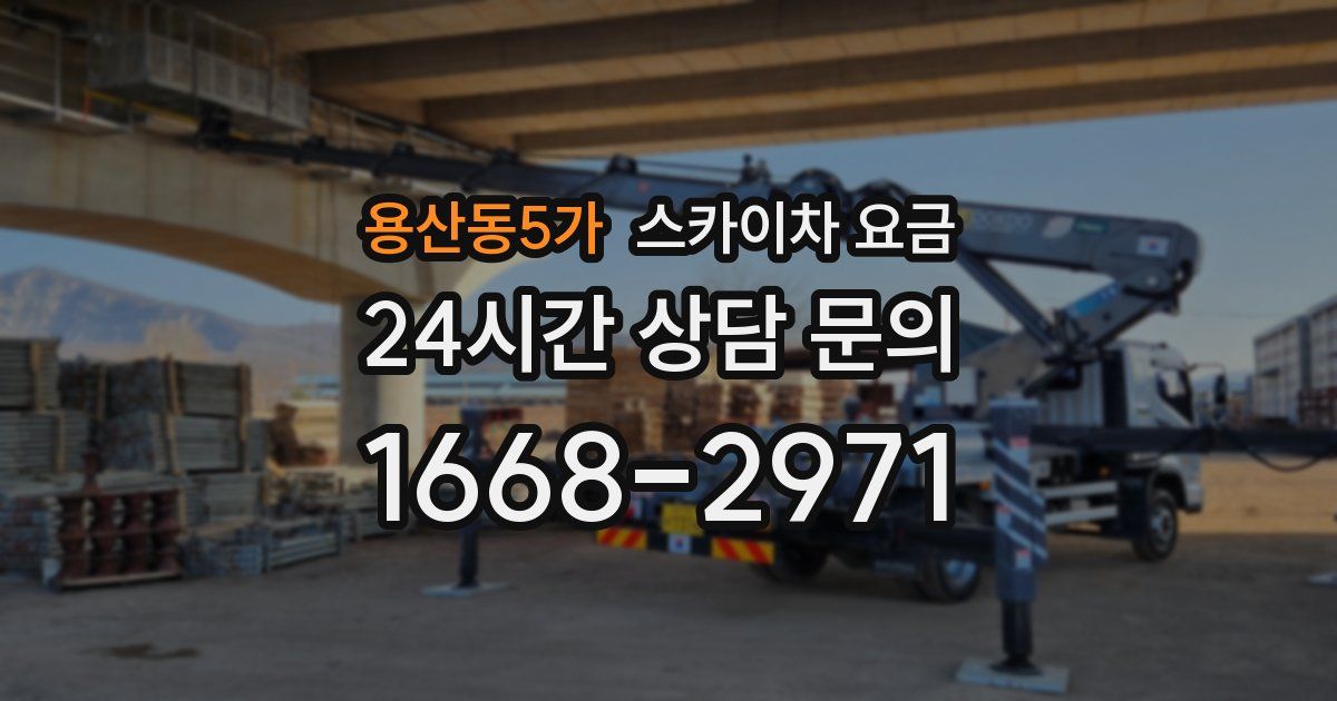 용산동5가 스카이차 요금