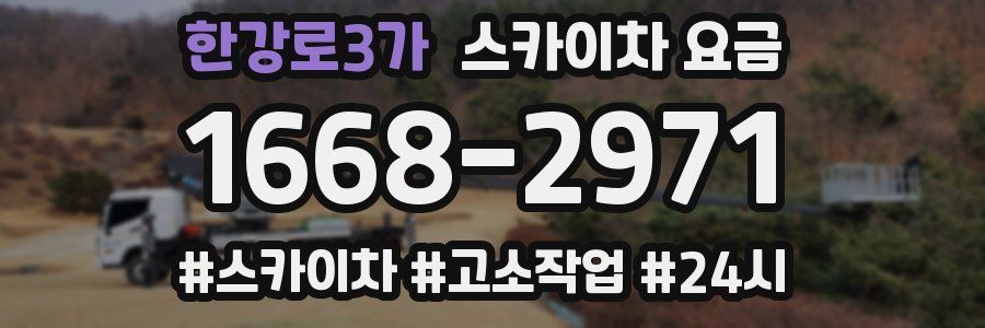 한강로3가 스카이차 요금