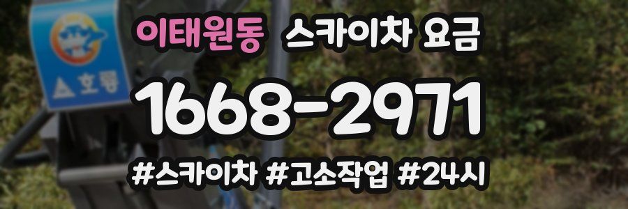 이태원동 스카이차 요금