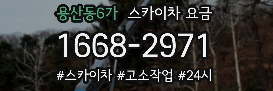용산동6가 스카이차 요금
