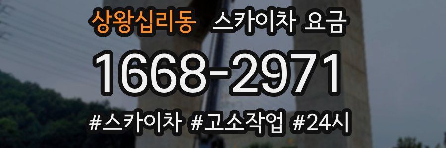 상왕십리동 스카이차 요금