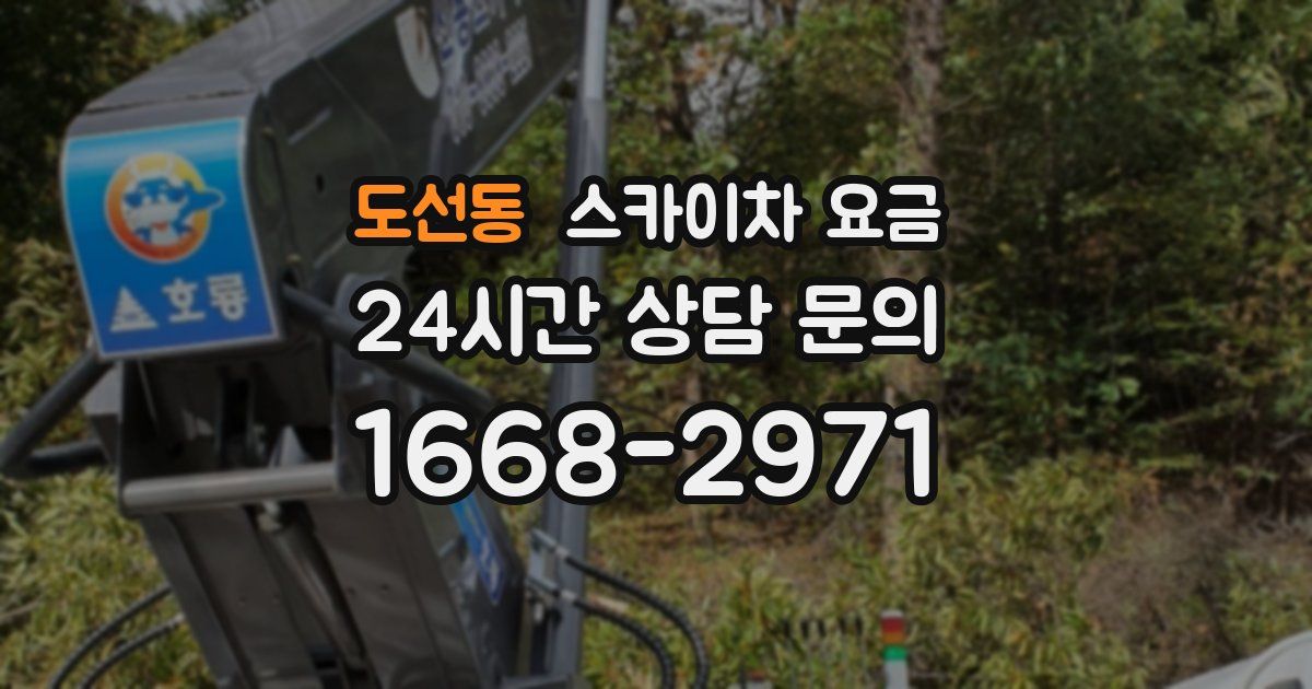 도선동 스카이차 요금