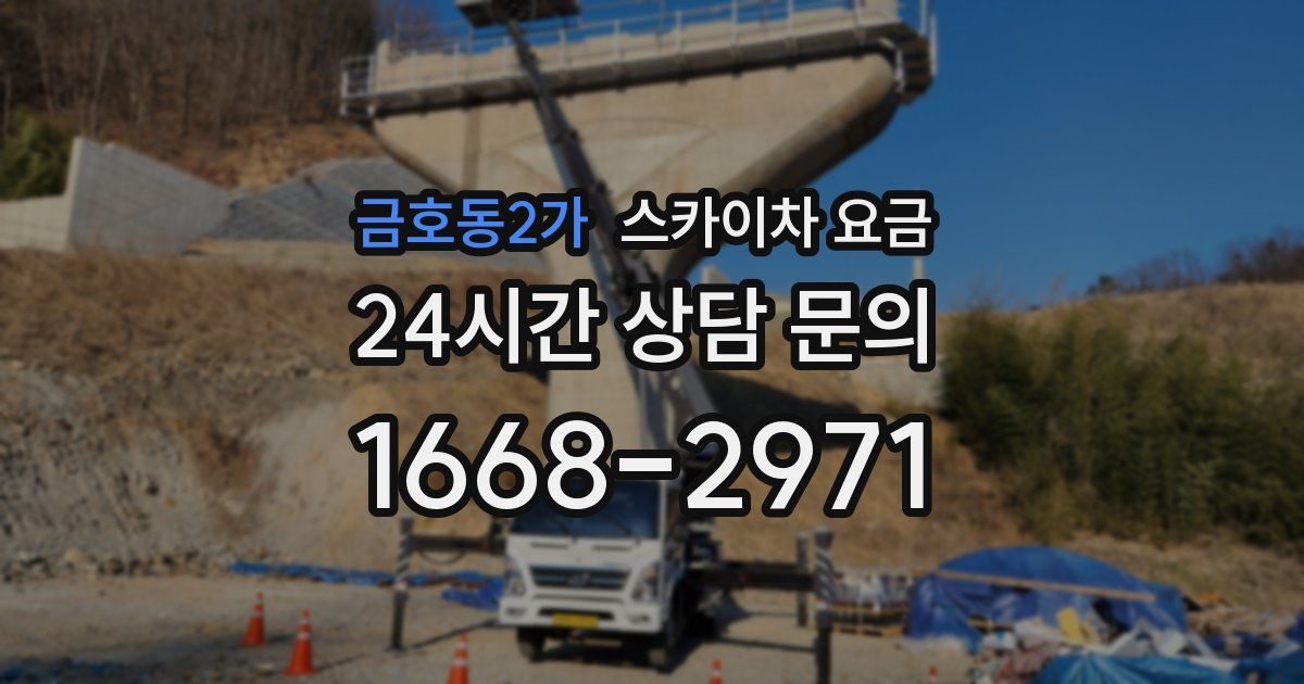 금호동2가 스카이차 요금