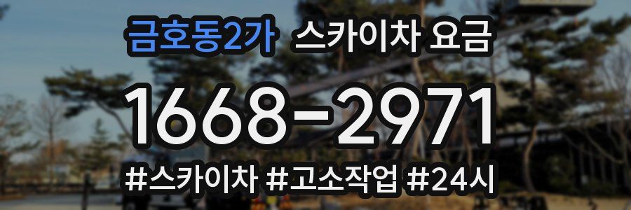 금호동2가 스카이차 요금
