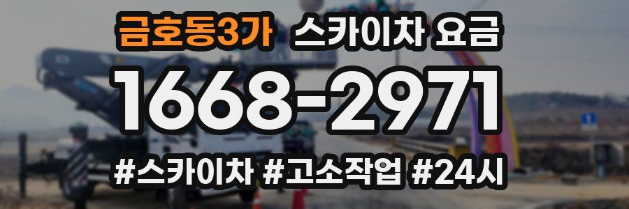 금호동3가 스카이차 요금