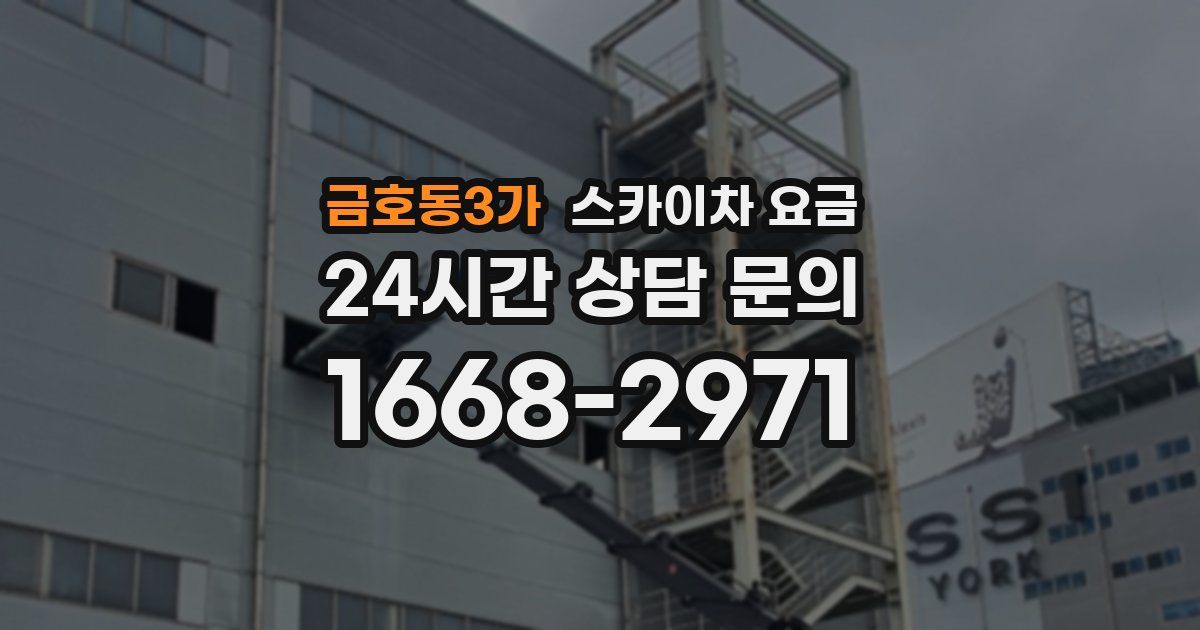 금호동3가 스카이차 요금