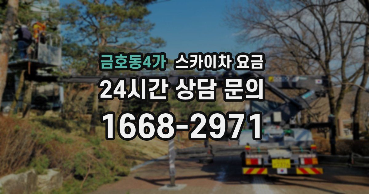 금호동4가 스카이차 요금