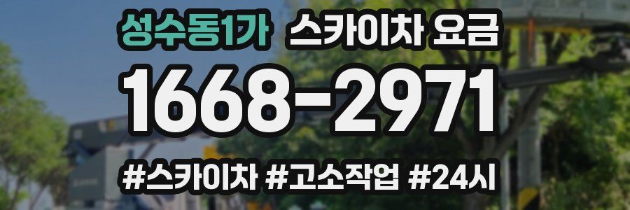 성수동1가 스카이차 요금