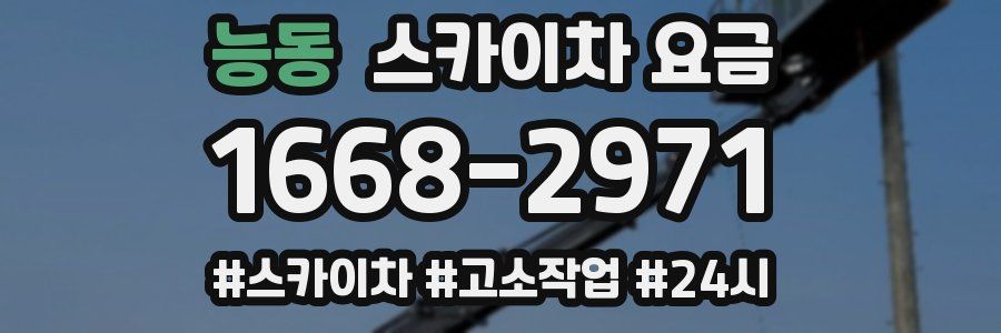능동 스카이차 요금