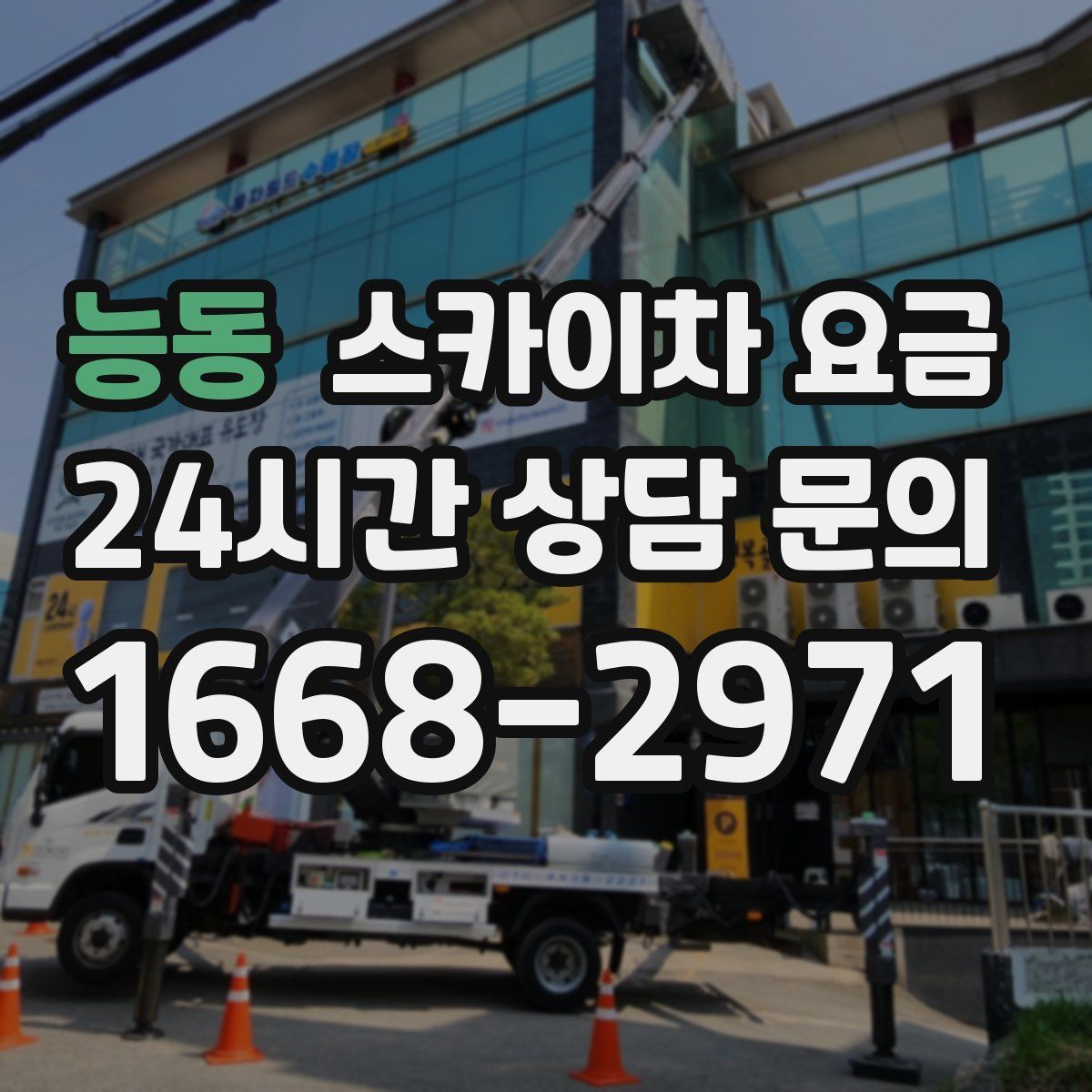 능동 스카이차 요금
