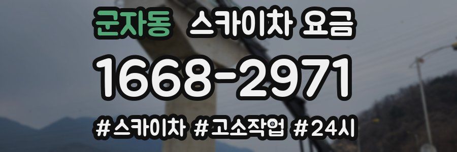 군자동 스카이차 요금