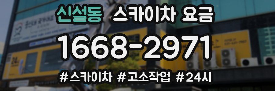 신설동 스카이차 요금