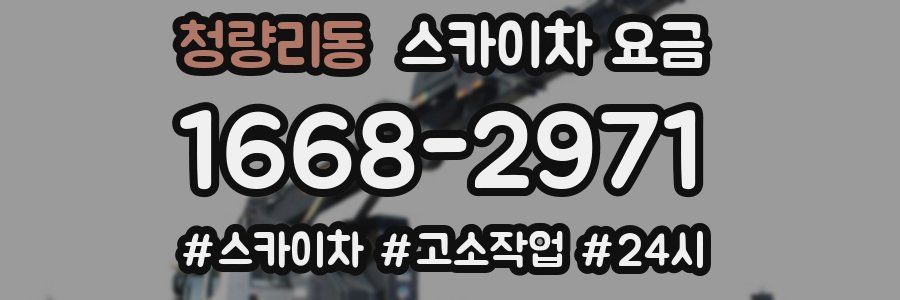 청량리동 스카이차 요금