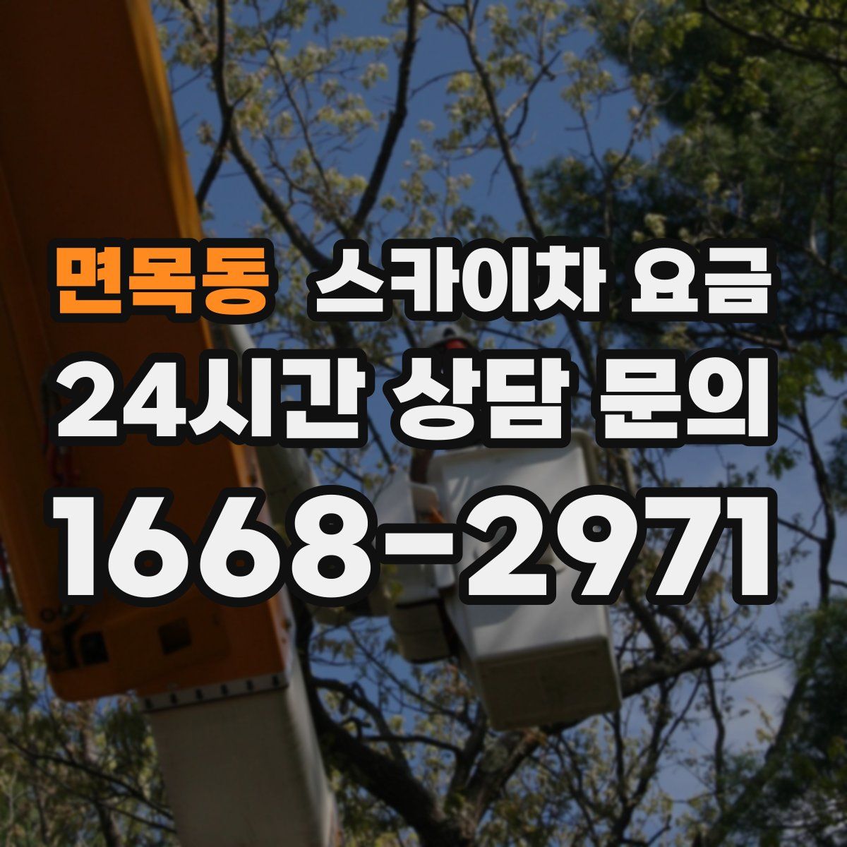 면목동 스카이차 요금