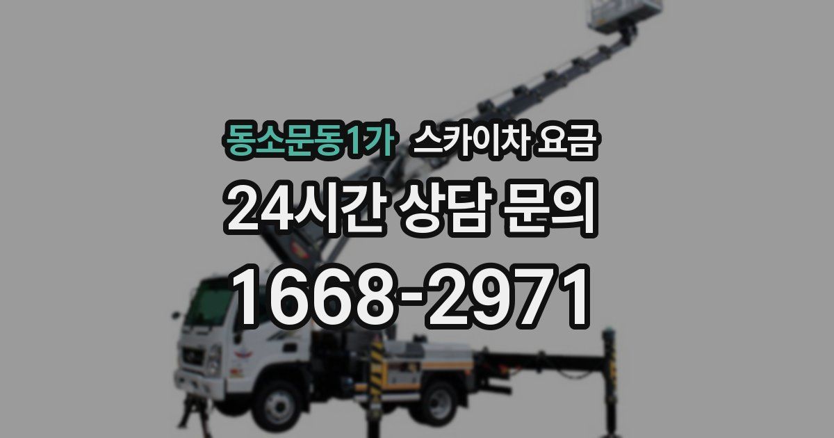 동소문동1가 스카이차 요금