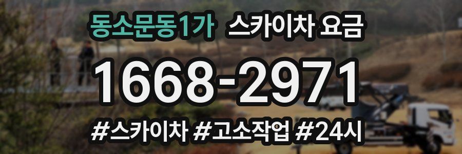 동소문동1가 스카이차 요금