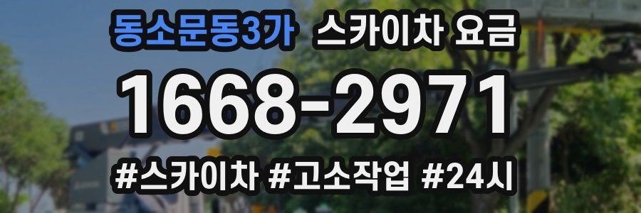 동소문동3가 스카이차 요금