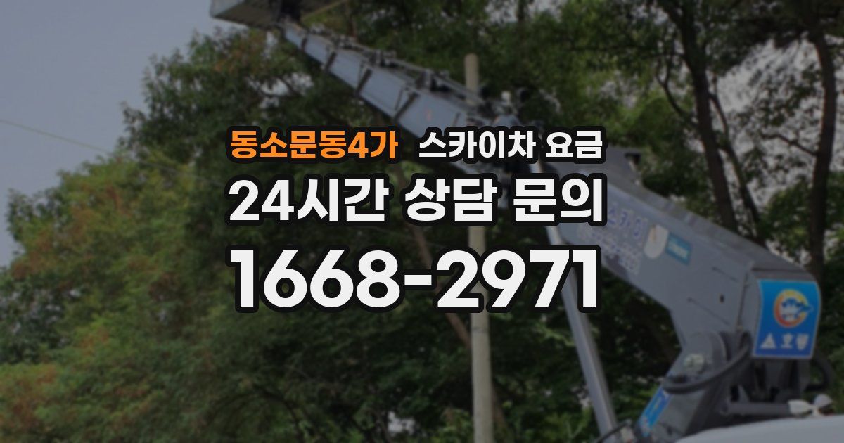 동소문동4가 스카이차 요금