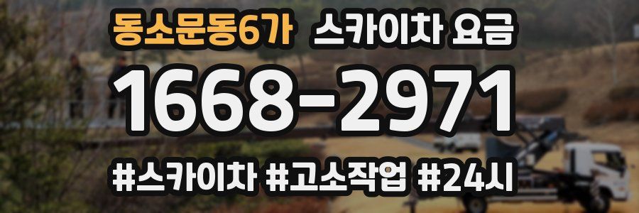 동소문동6가 스카이차 요금