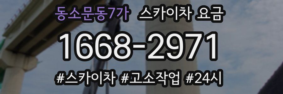동소문동7가 스카이차 요금