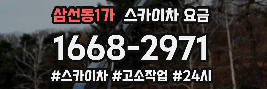 삼선동1가 스카이차 요금