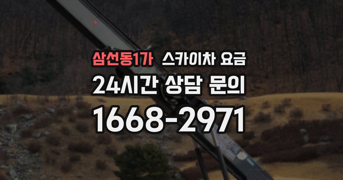 삼선동1가 스카이차 요금