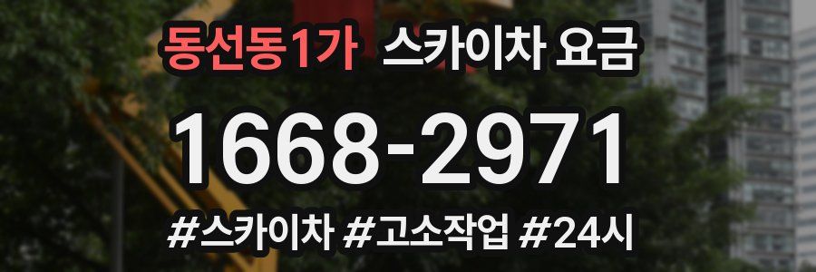 동선동1가 스카이차 요금