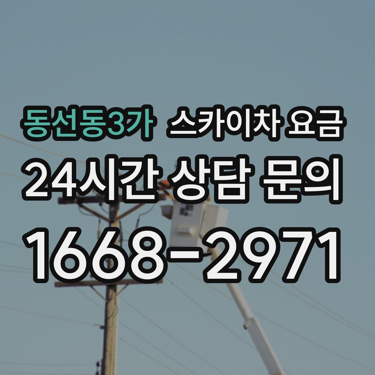 동선동3가 스카이차 요금